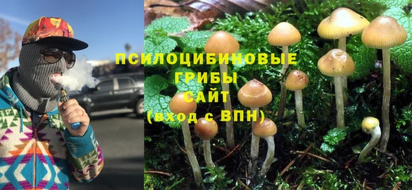 эйфоретик Баксан