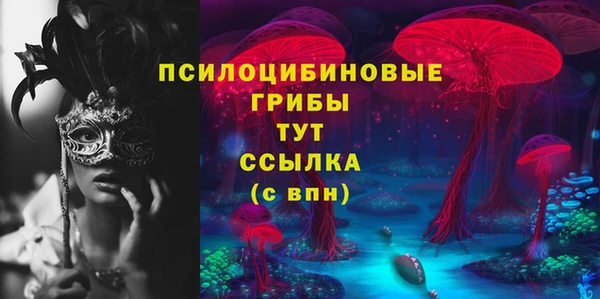 эйфоретик Баксан