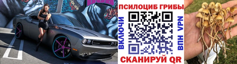 купить наркотики цена  Славгород  Псилоцибиновые грибы ЛСД 